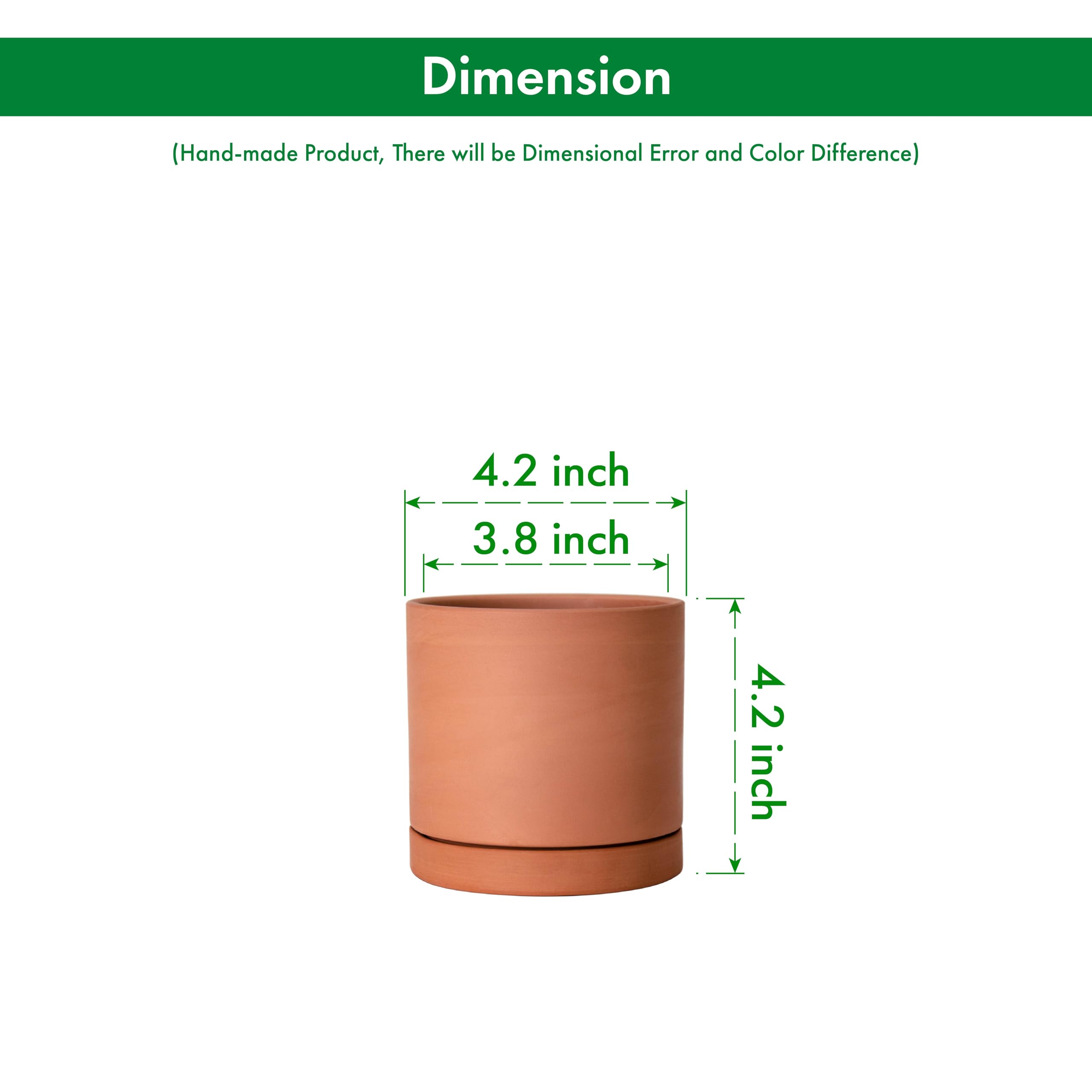 D'vine Dev Terracotta Plant Pot with plants inside