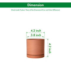 D'vine Dev Terracotta Plant Pot with plants inside