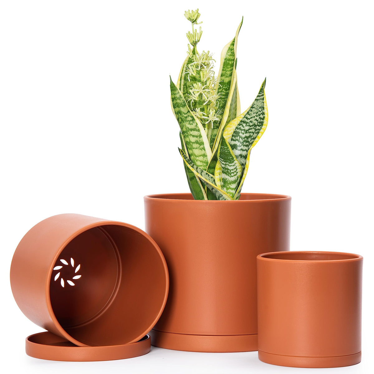 D'vine Dev terracotta planter pots set of three in various sizes