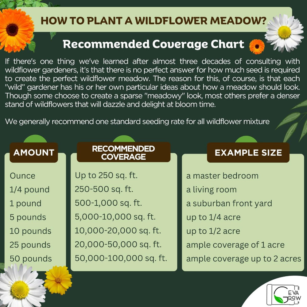Daisies blooming from GevaGrow seeds