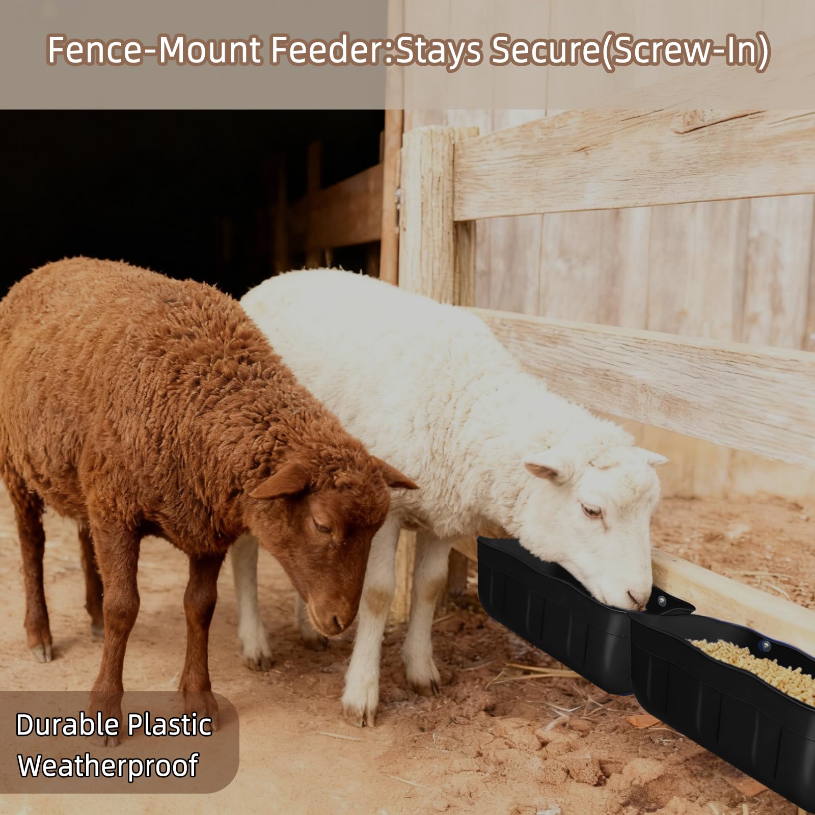 DallerSoode Chicken Feeder Waterer pack of 2 with dimensions