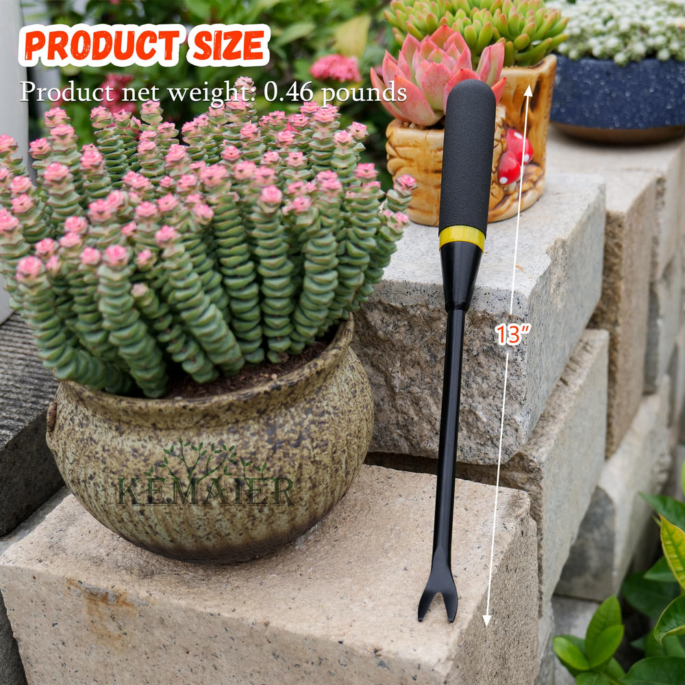 Dandelion weeder for effective root extraction