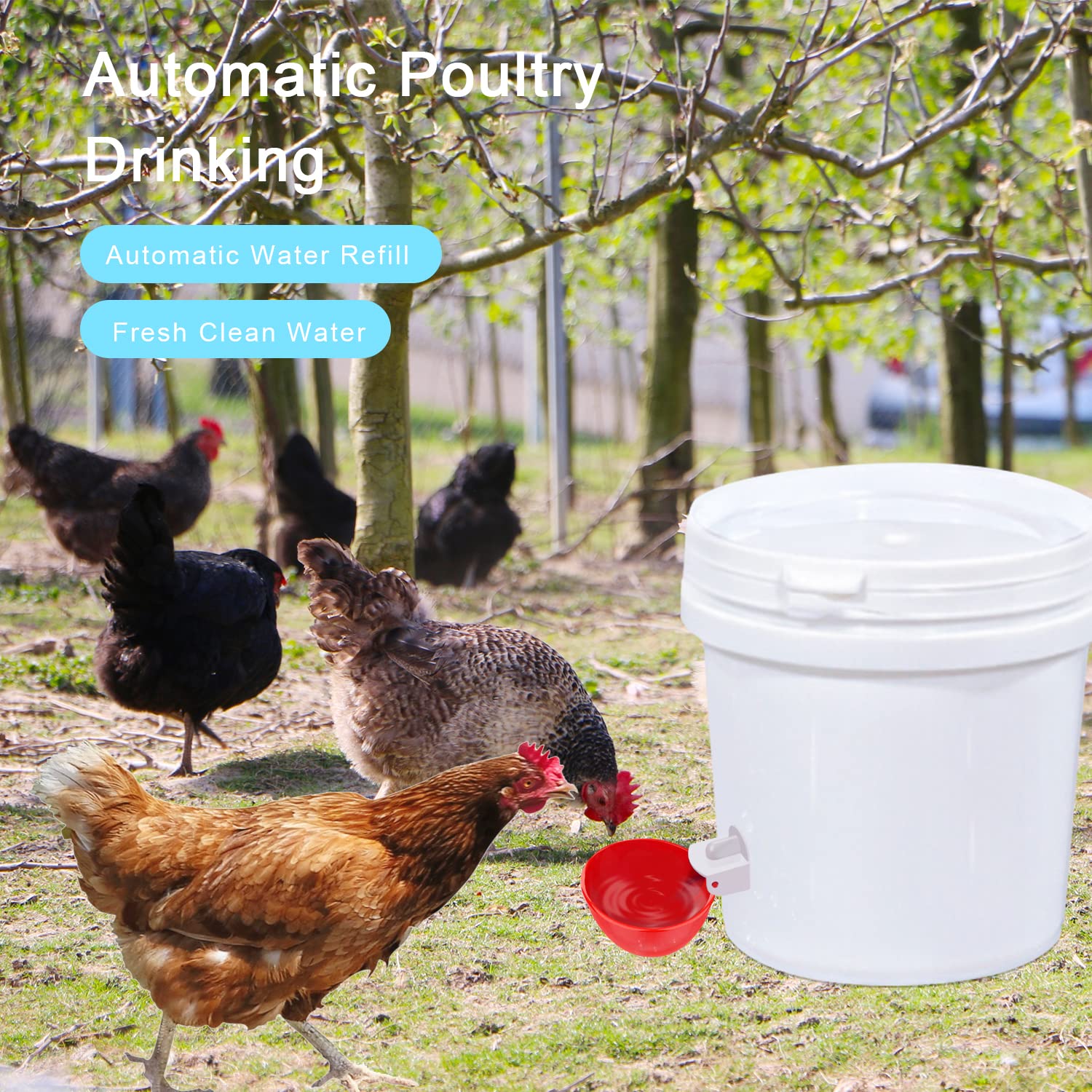 Darcvds Chicken Waterer Cup with mounting hole