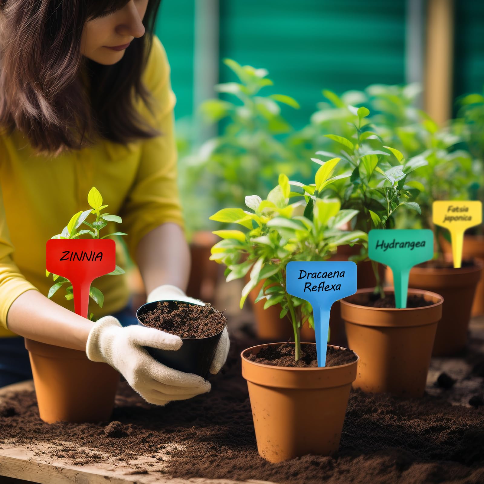 Darfukei plant labels with marker in packaging