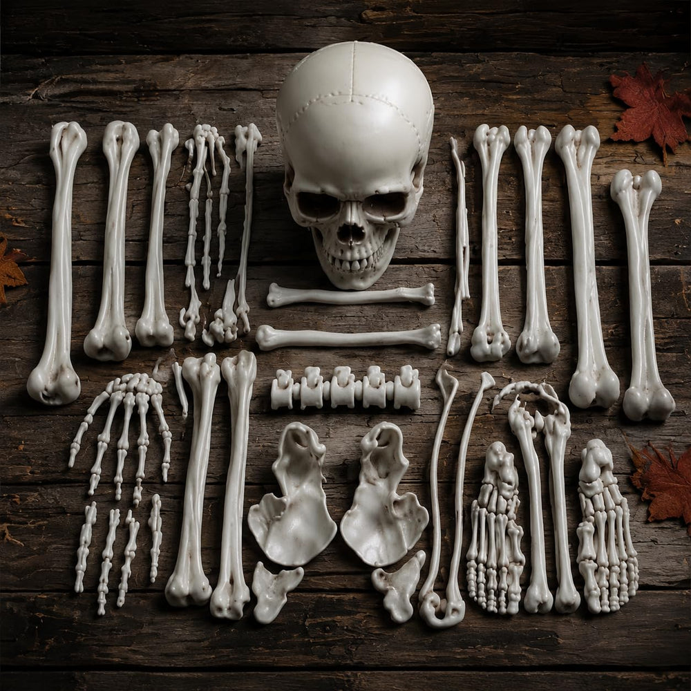 Daricano Halloween skeleton bones set displayed indoors