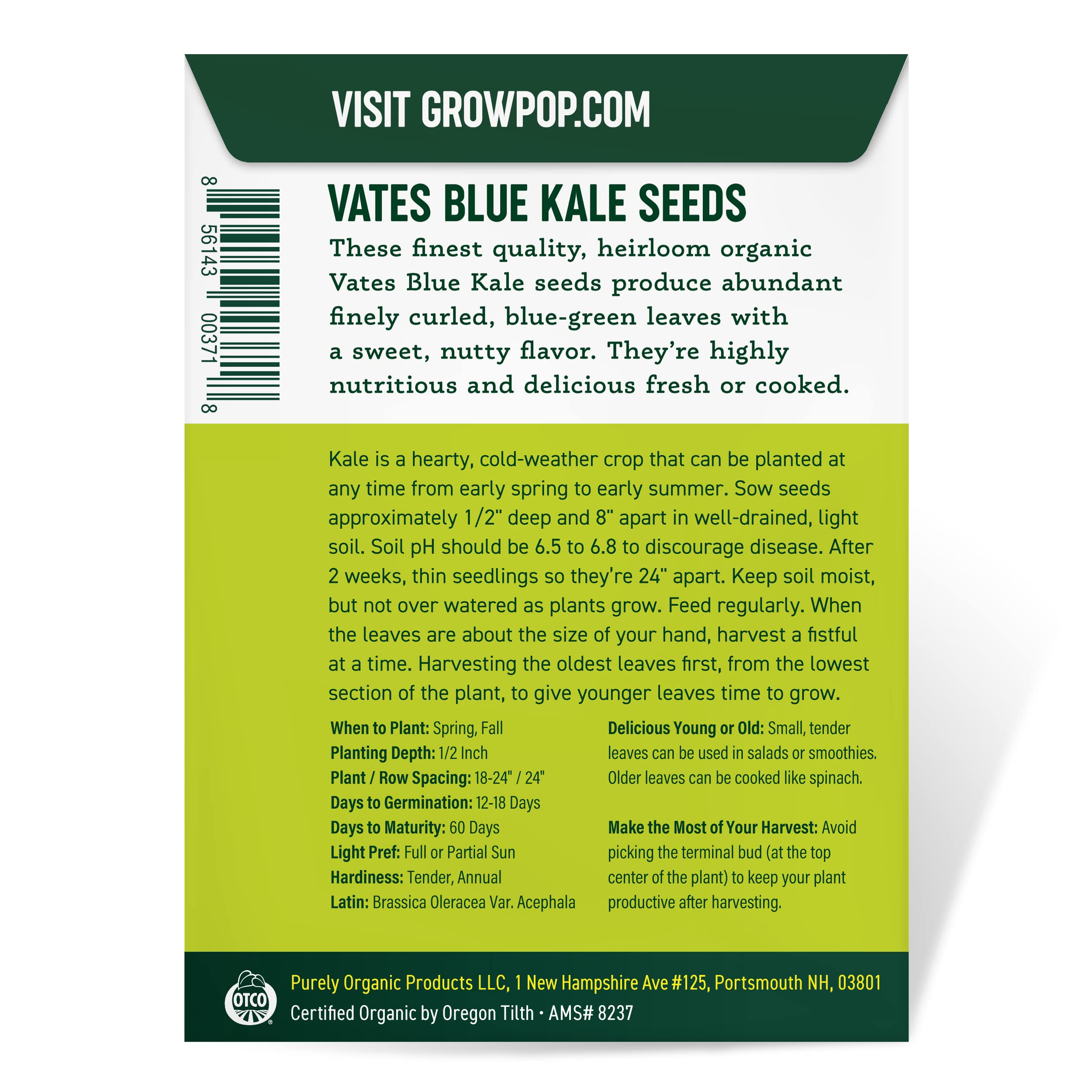 Dark blue-green kale leaves growing in a garden