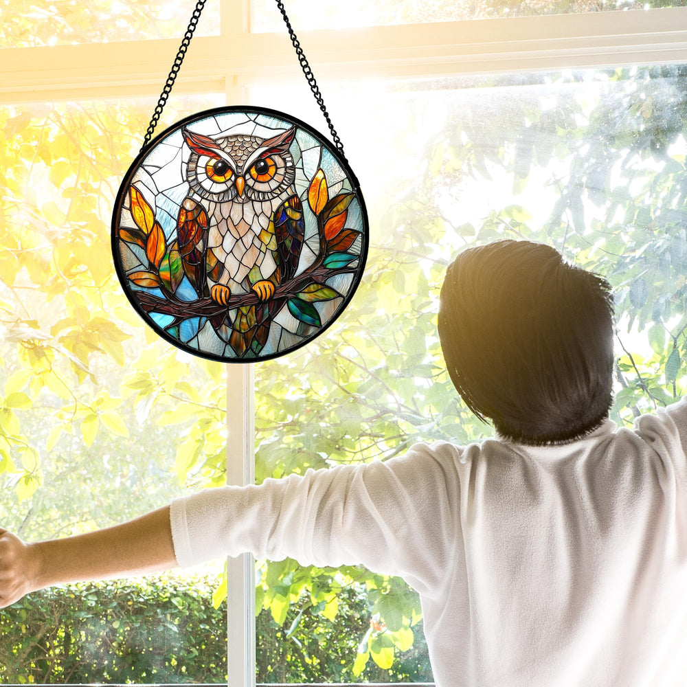DASTOLL suncatcher hanging in a sunny window