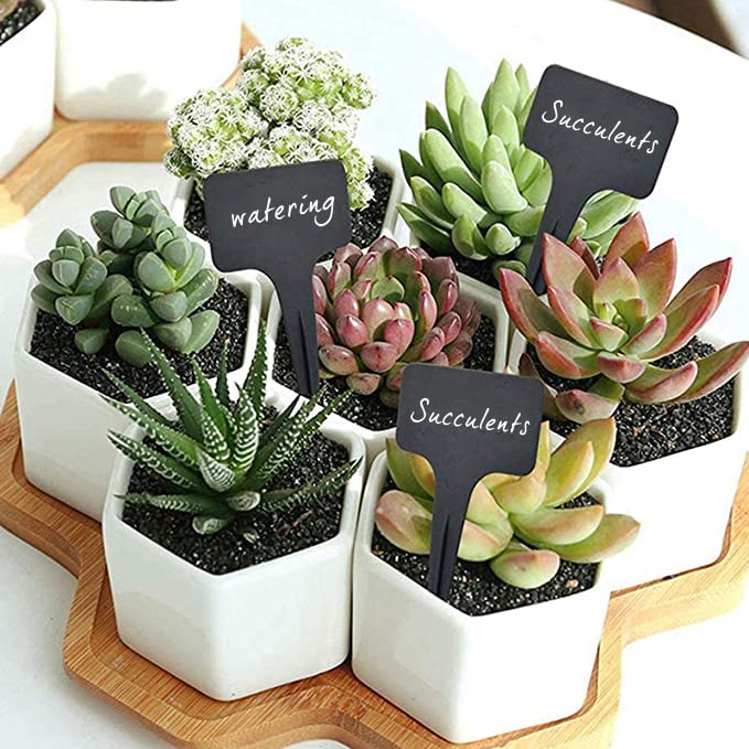 DaTpuik plant labels showing waterproof feature