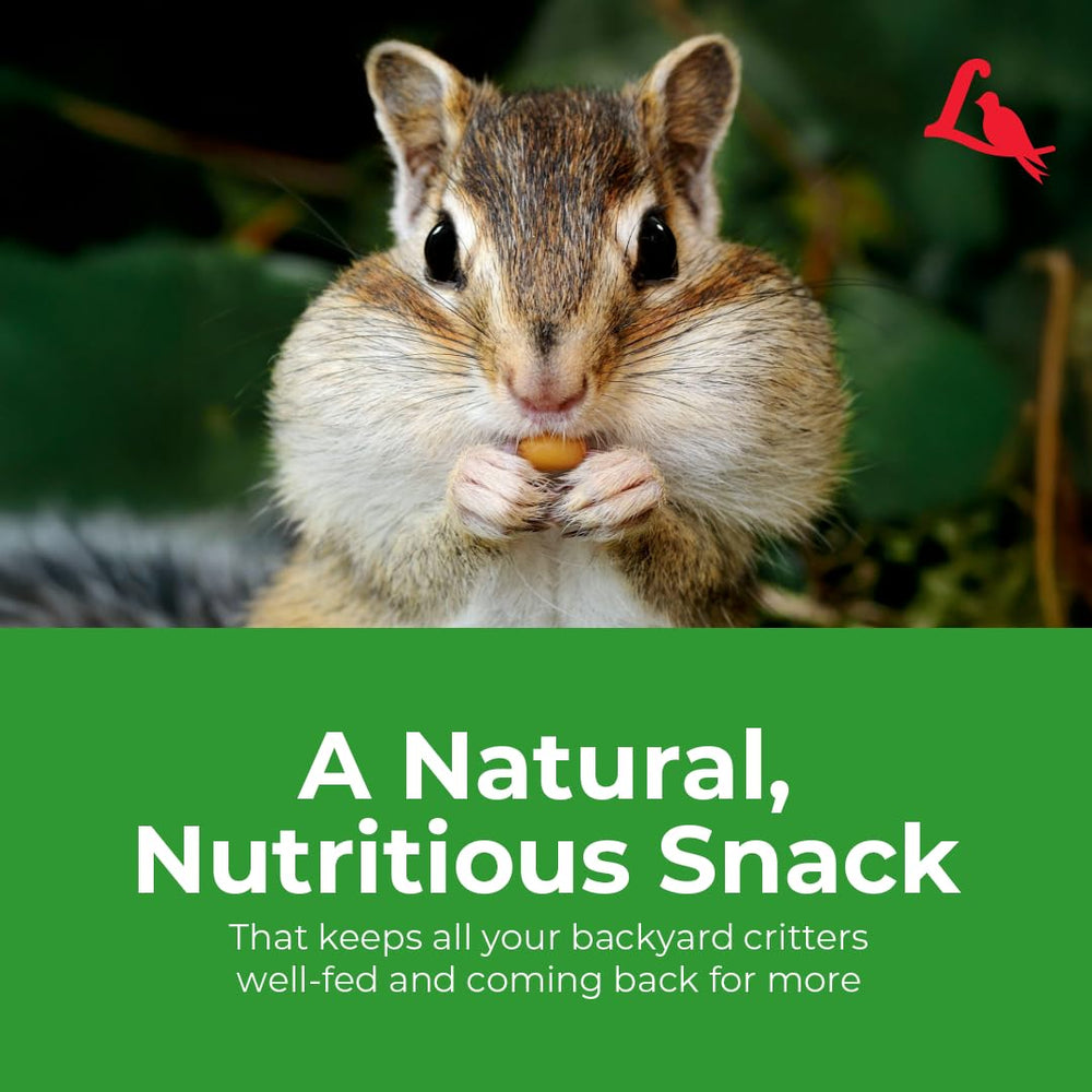 Dayang Wildlife Critter Food bag packaging