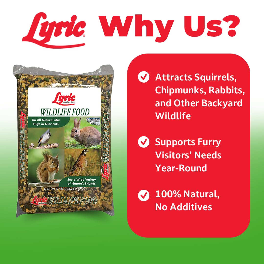 Dayang Wildlife Critter Food in bird feeder