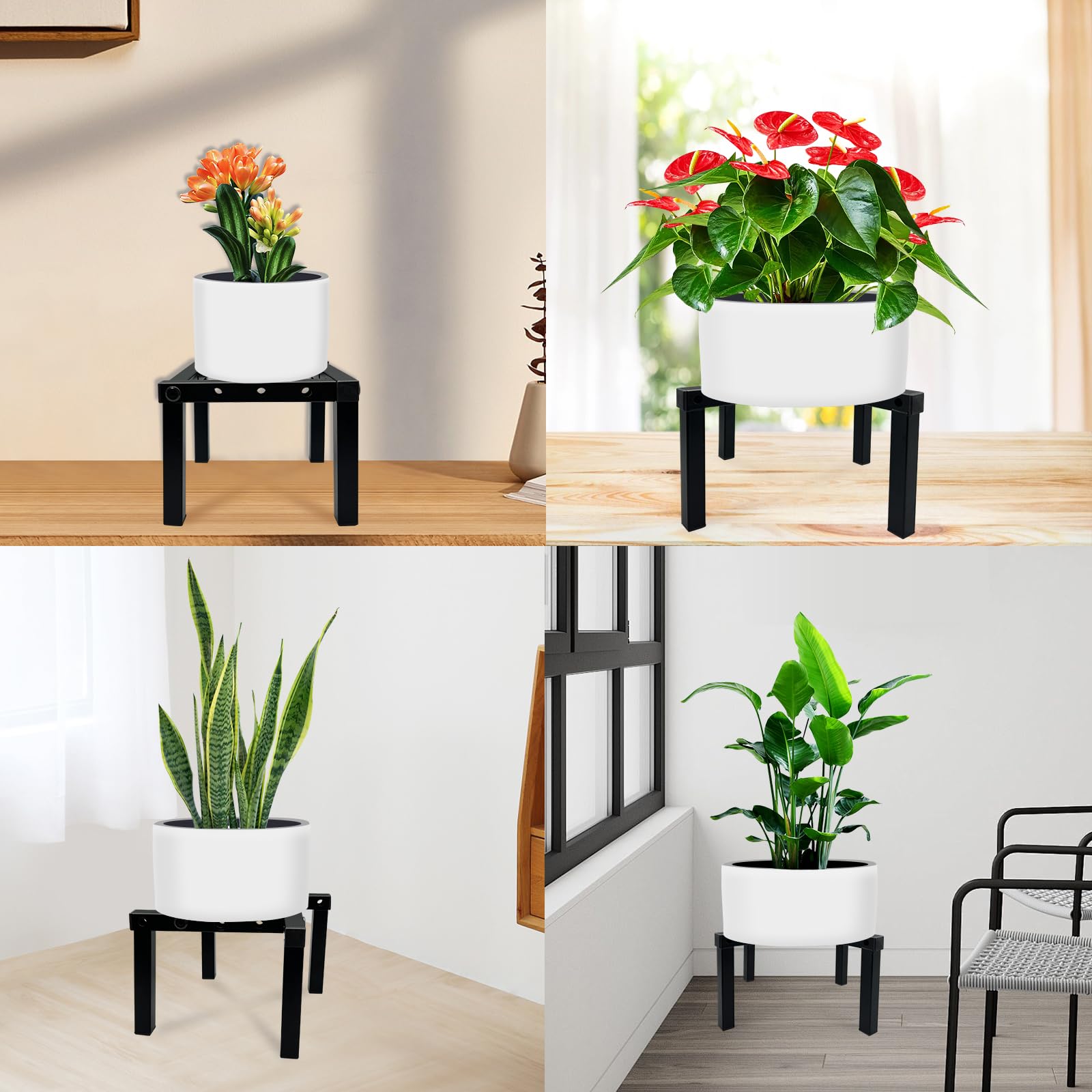 DDPow plant stand with multiple plants displayed