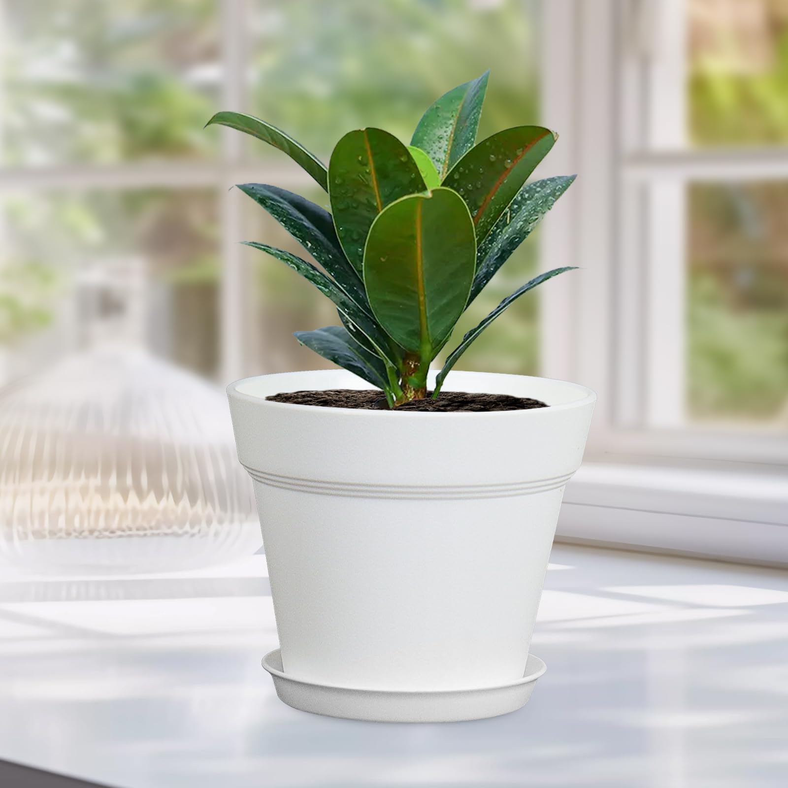 Decorated Meowell nursery pots with colourful designs