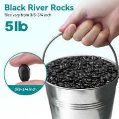 Decorative arrangement with Rahato Black Pebbles in a vase