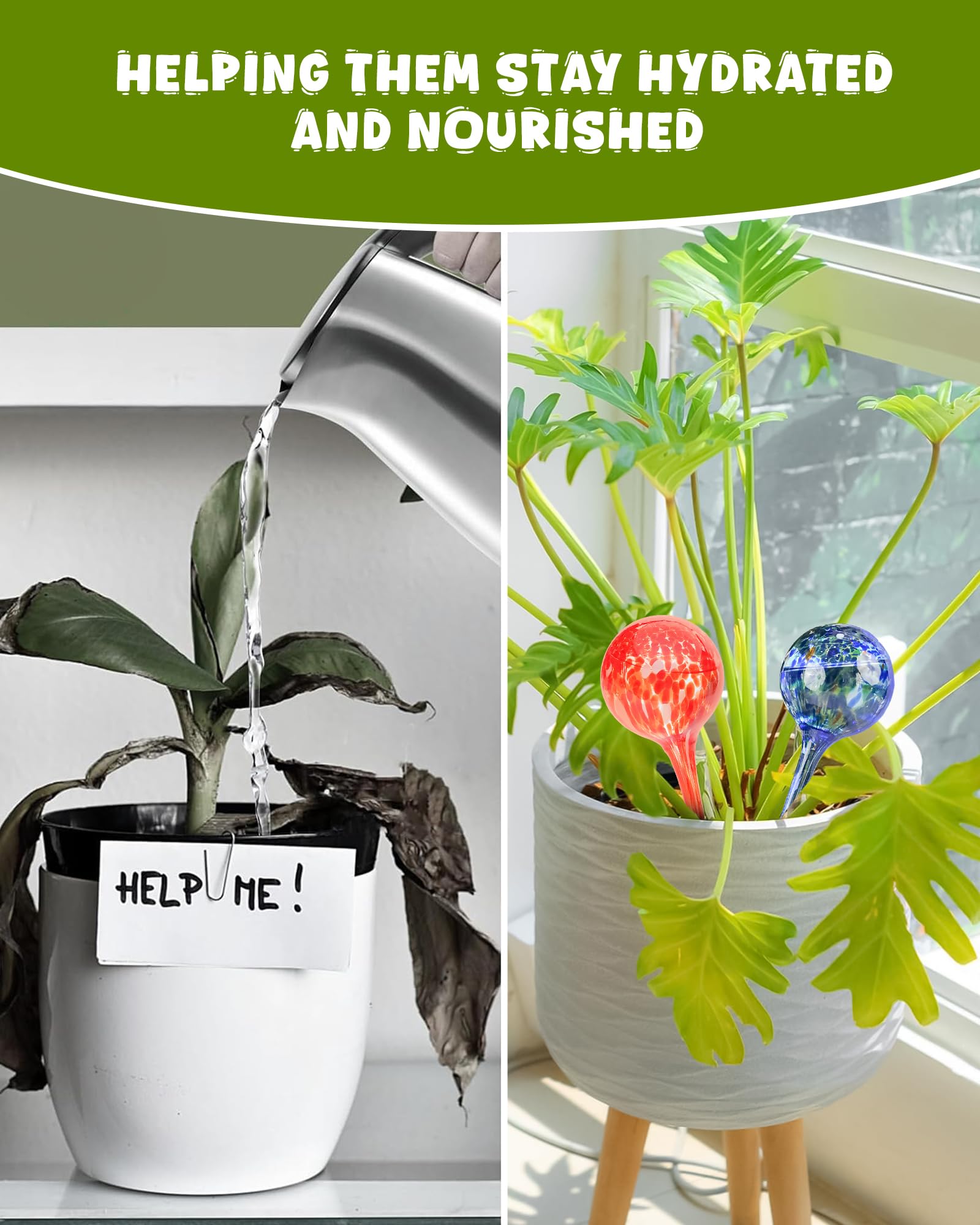 Decorative arrangement with self watering globes and plants