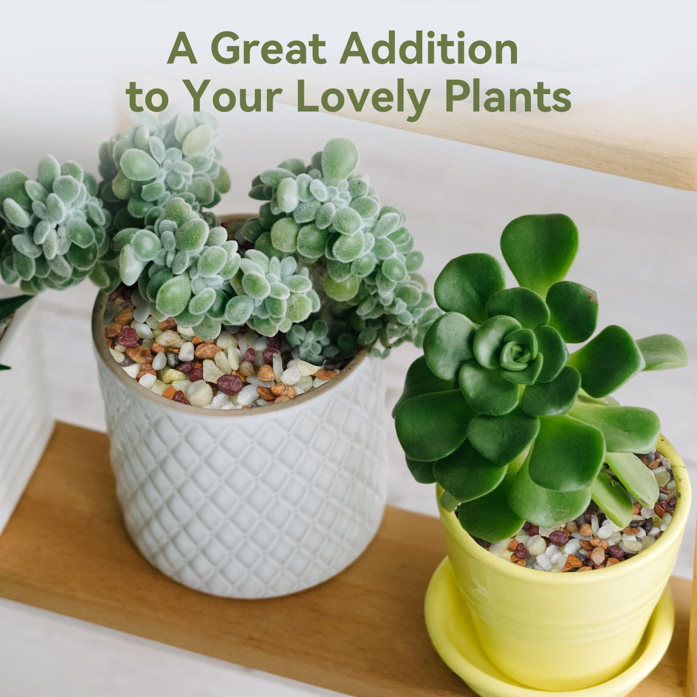 Decorative display using Pulovin pebbles in a terrarium