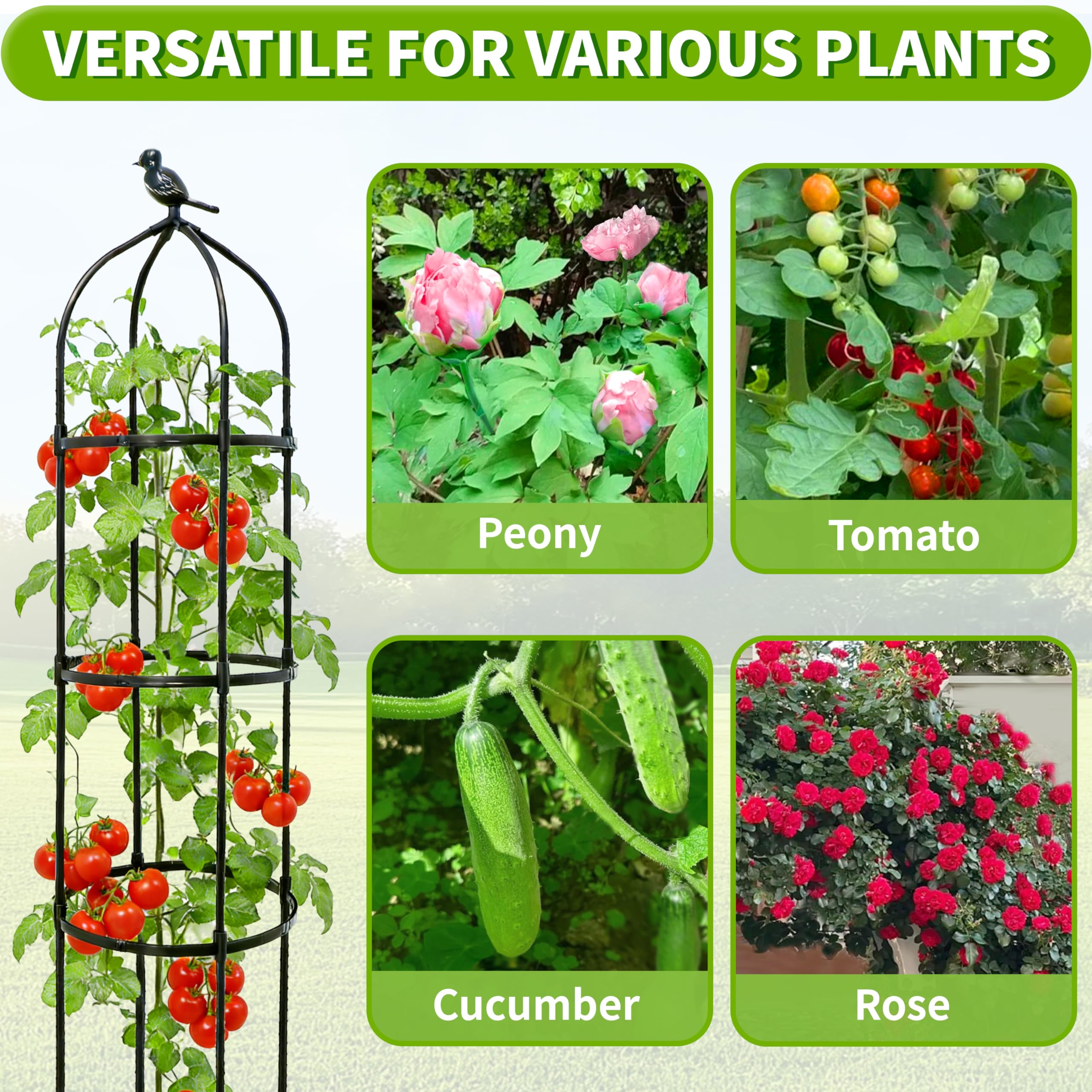 Decorative garden trellis in a compact balcony setting