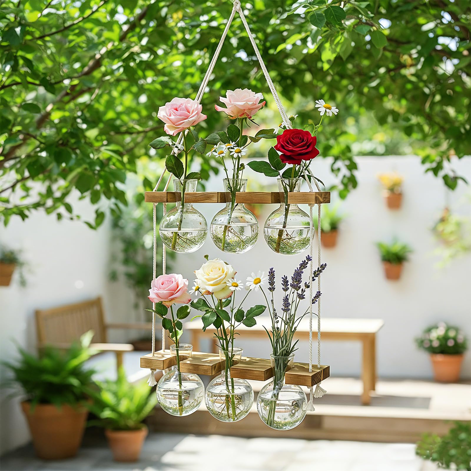 Decorative setup featuring the Renmxj Plant Propagation Station