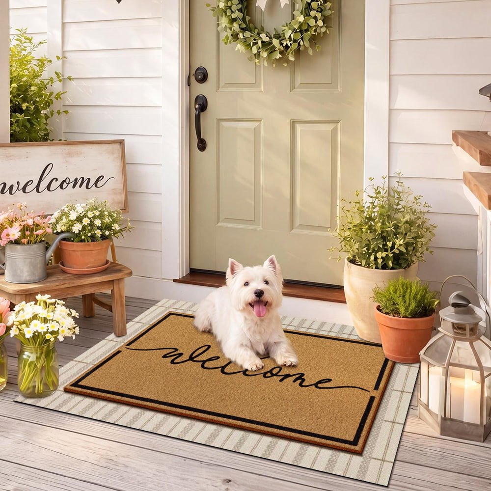 Decorative setup with Drydiet doormat and fall pumpkins