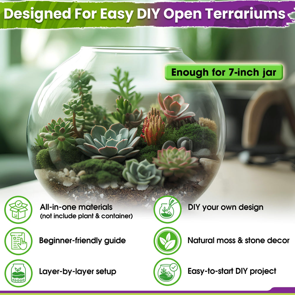 Decorative stones included in the Duspro Terrarium Kit