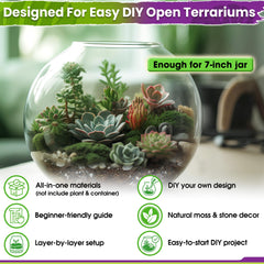 Decorative stones included in the Duspro Terrarium Kit