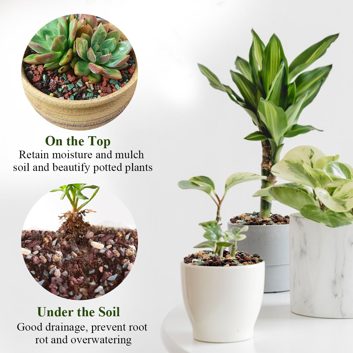 Decorative use of FANTIAN Succulent Cactus Soil in indoor plants