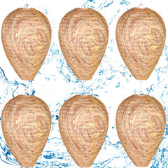 DECYOOL 6 Pack Wasp Nest Decoy dark brown artificial nests