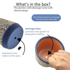 DeeCoo ceramic pots set with various indoor plants