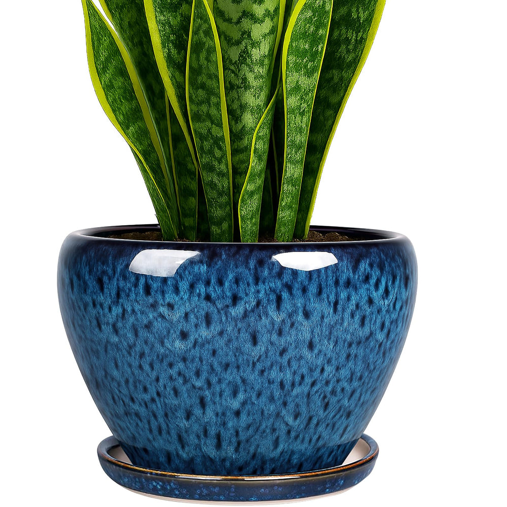 Deep Dream 8 Inch Ceramic Plant Pot in peacock blue with tray