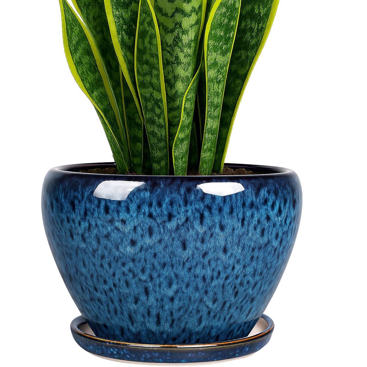 Deep Dream 8 Inch Ceramic Plant Pot in peacock blue with tray