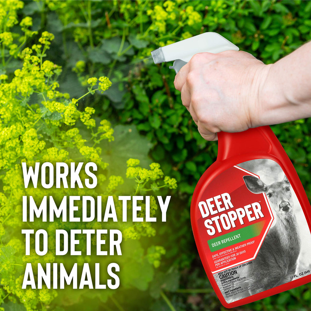 Deer Stopper being applied in a garden