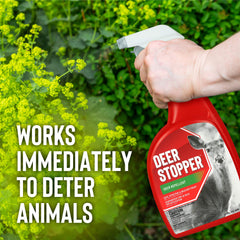 Deer Stopper being applied in a garden