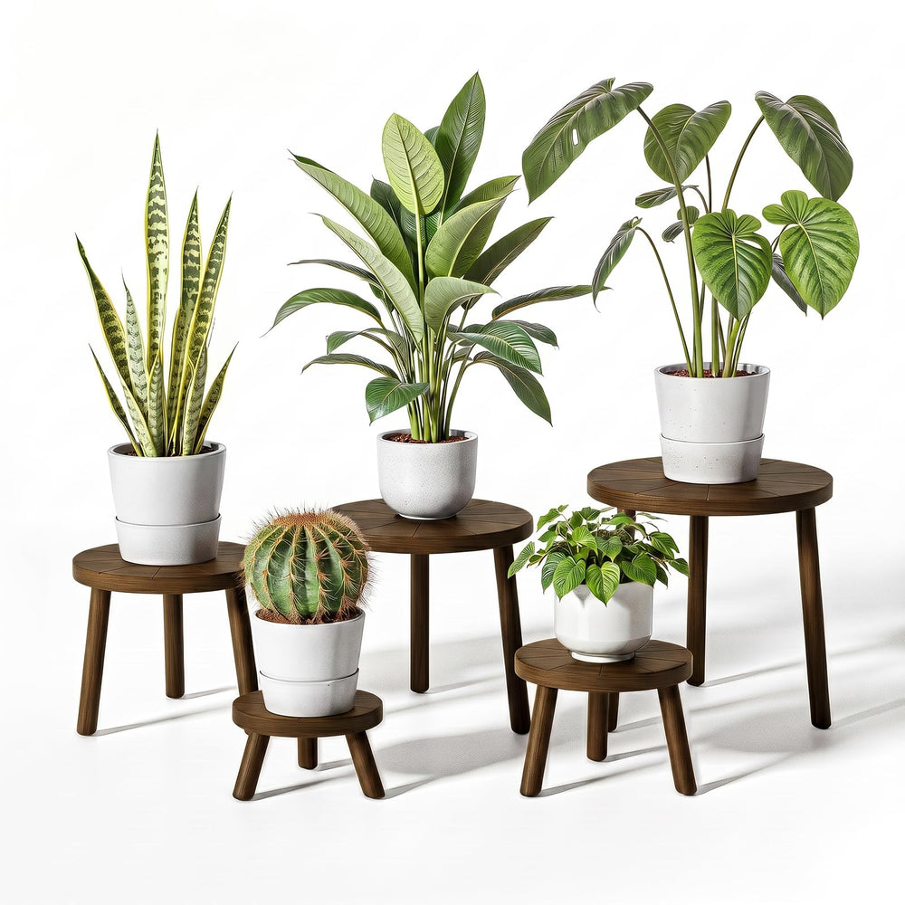 Delma 5-Pack Wooden Plant Stands in Dark Brown front view