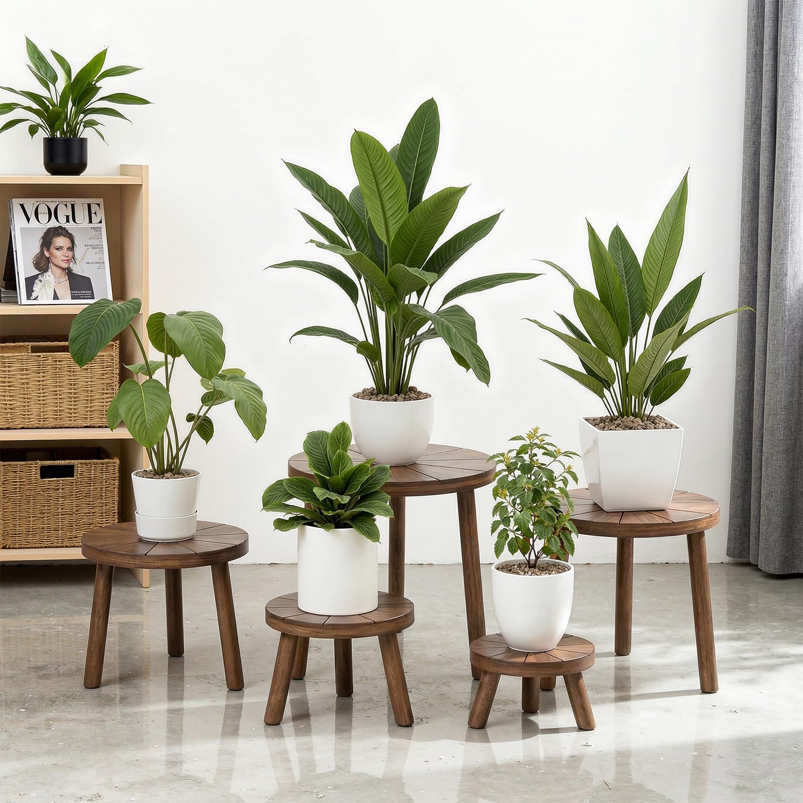 Delma wooden plant stand displaying a large pot
