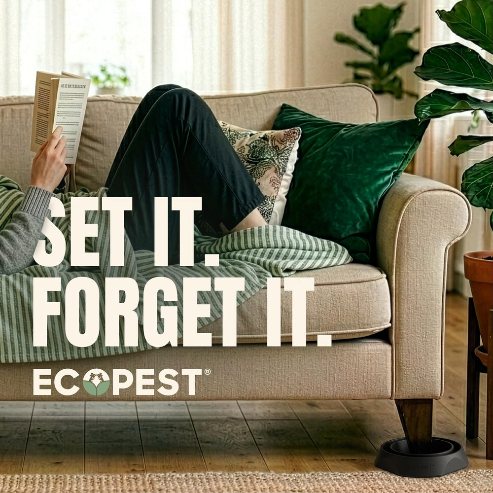 Demonstration of bed bug trap effectiveness