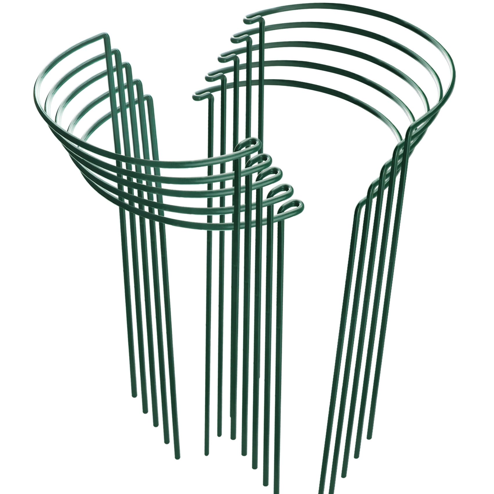 Demonstration of interlinking HiGift Peony Cages in garden