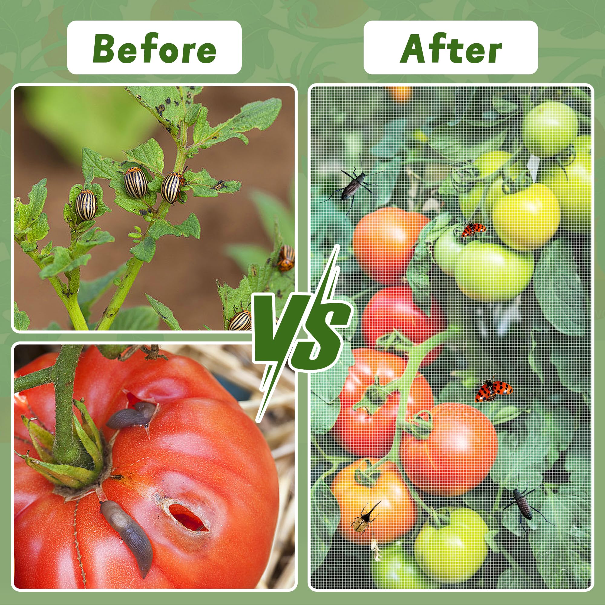 Demonstration of netting over a tomato cage