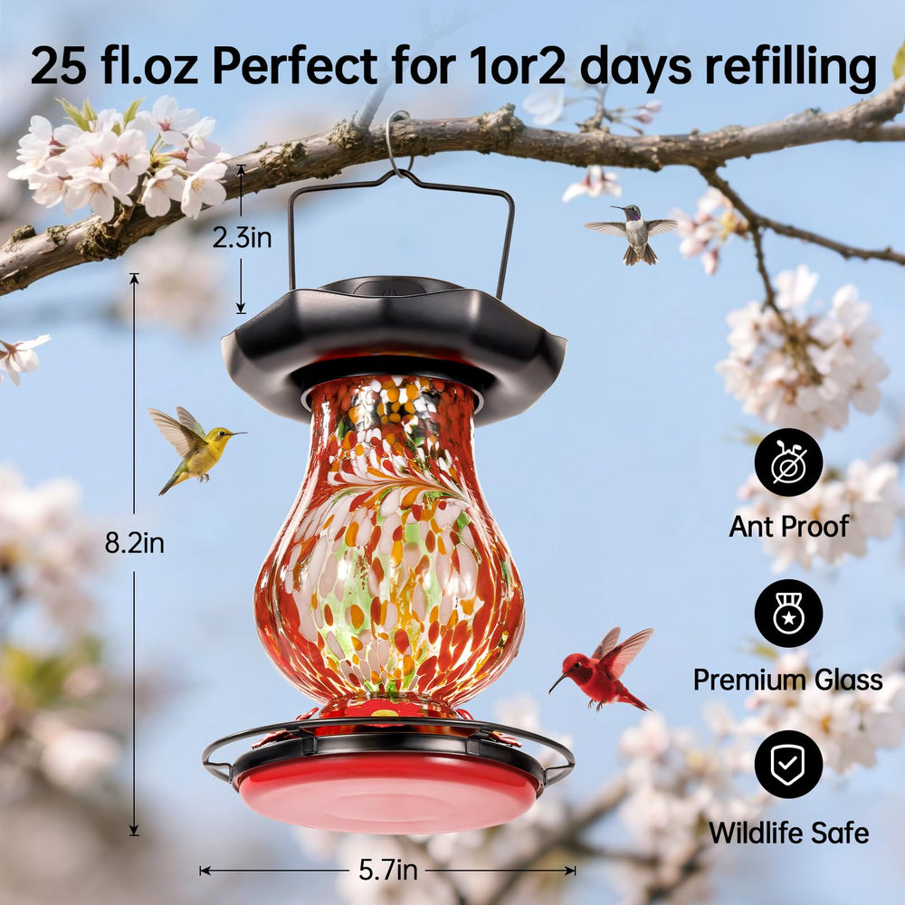 DesGully hummingbird feeder with ant moat and tray included