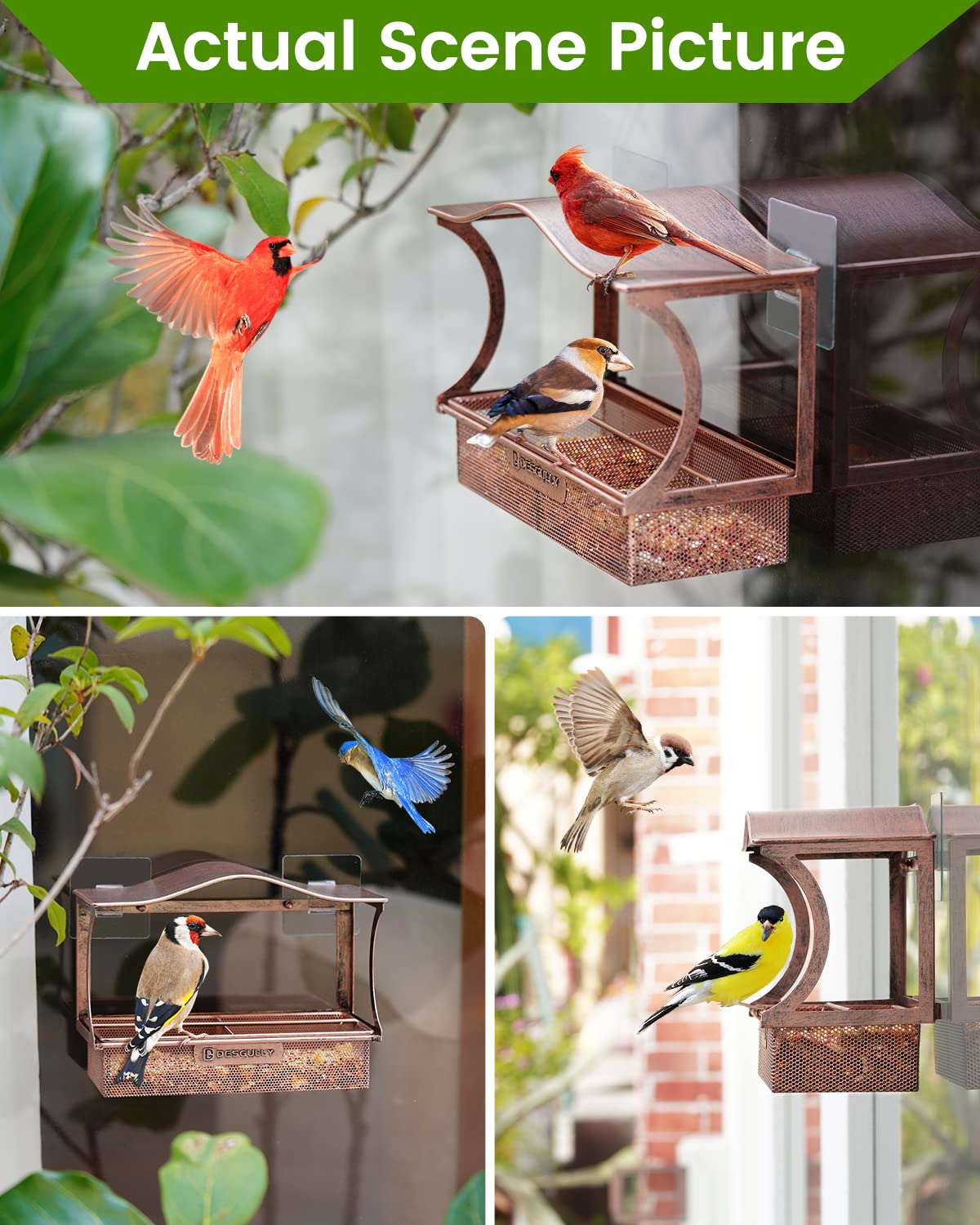 DesGully Window Bird Feeder packaging and manual