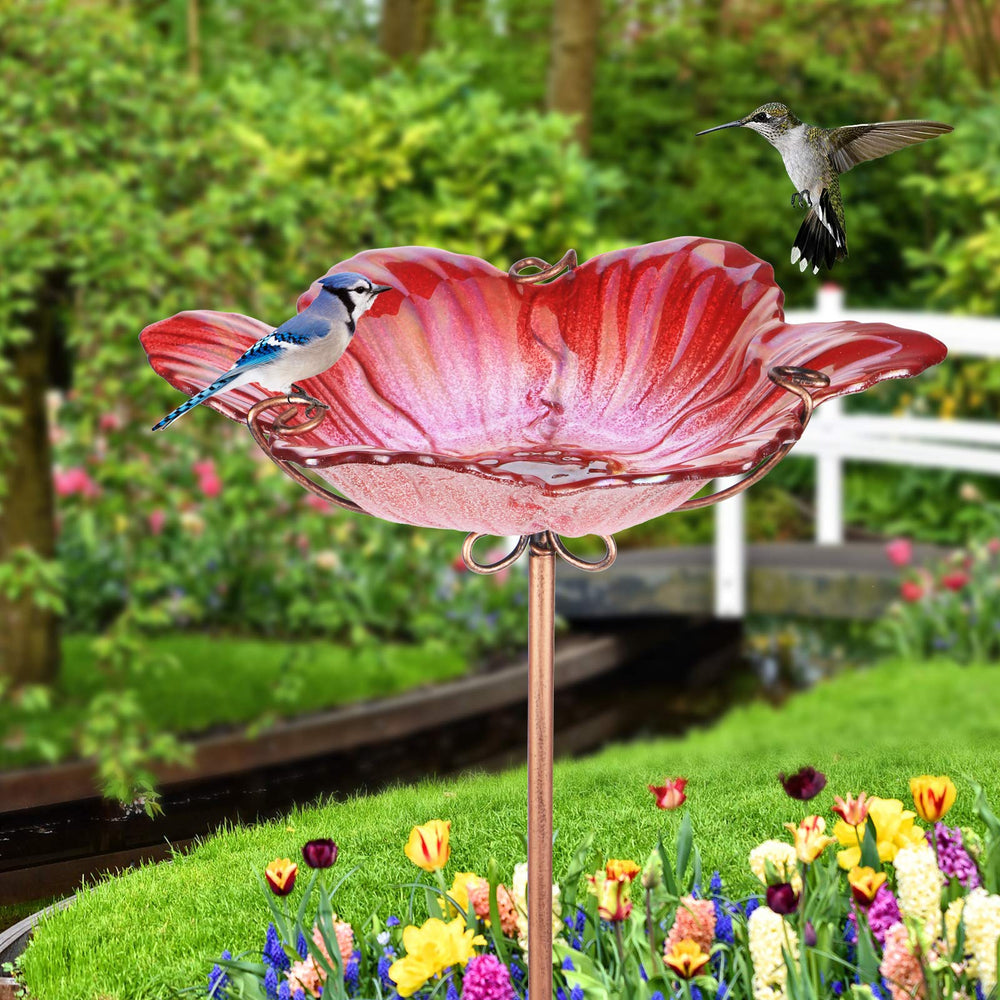 Detachable glass bowl of DREAM GARDEN Bird Bath