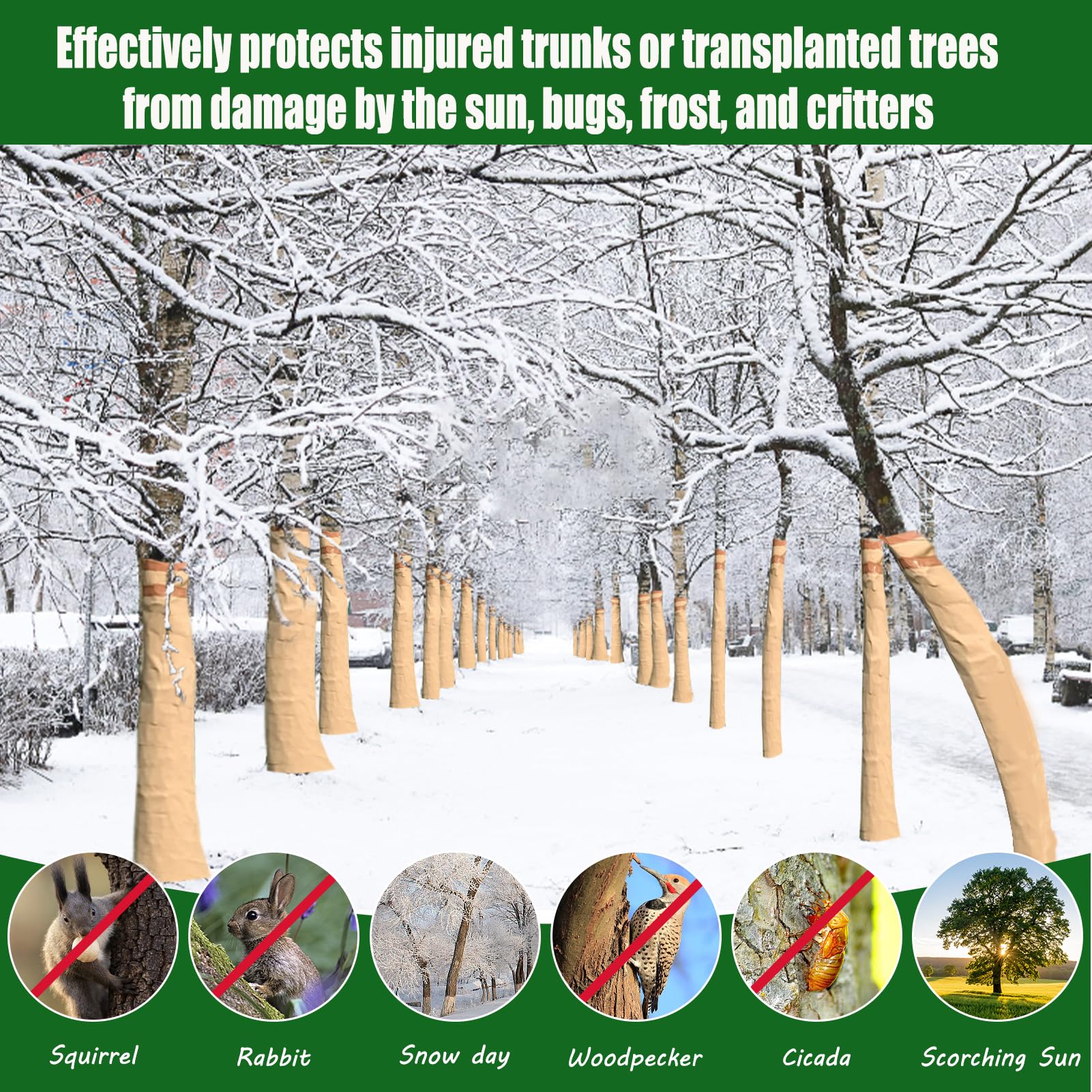 Detail of the biodegradable material of Vecacosic tree wrap