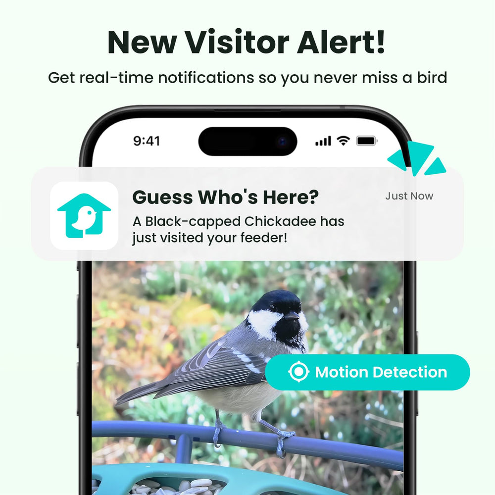 Detailed bird photo captured by Birdfy camera