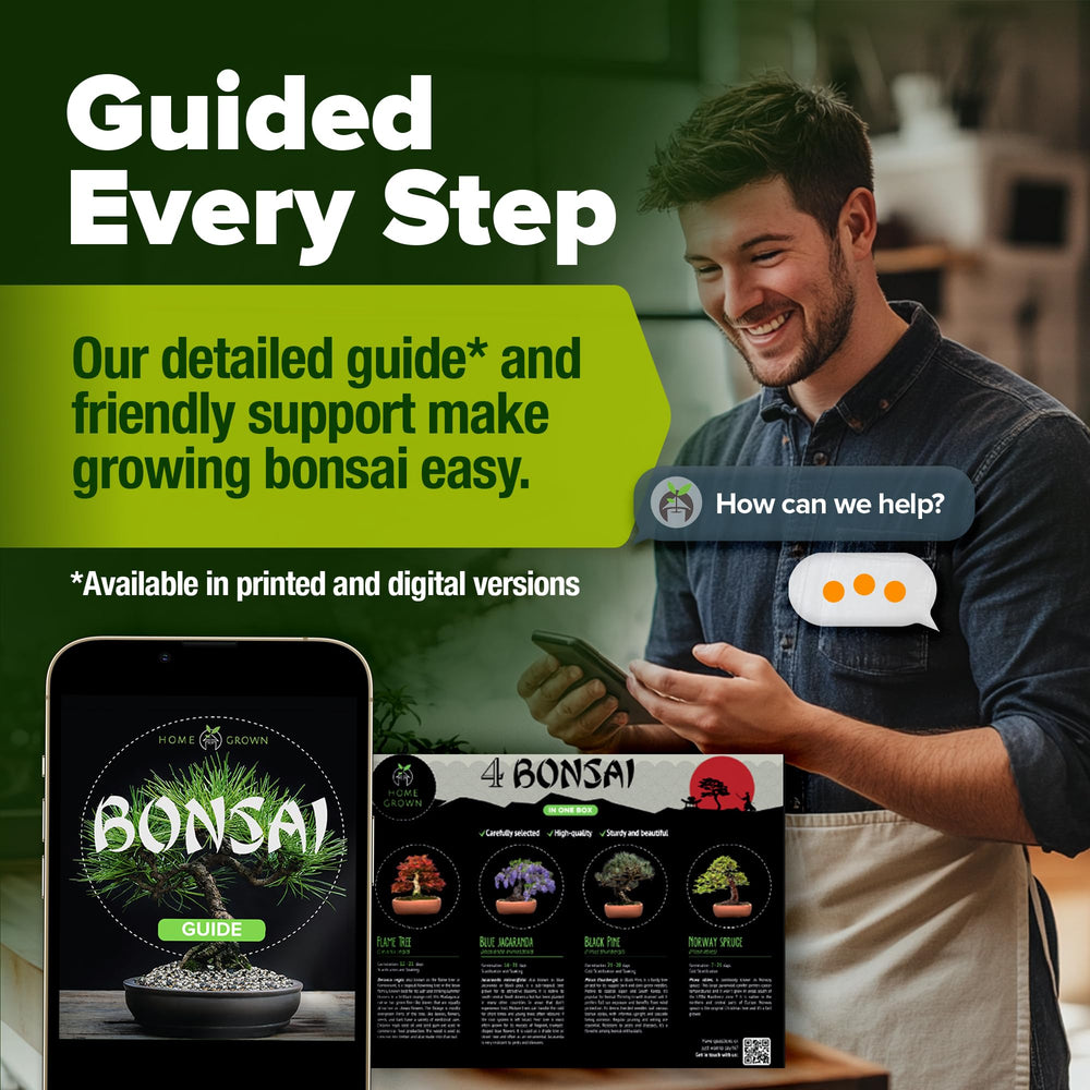 Detailed grow guide included in the bonsai kit