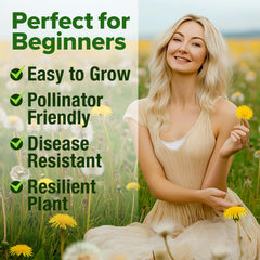 Detailed grow guide included with HOME GROWN Dandelion Seeds