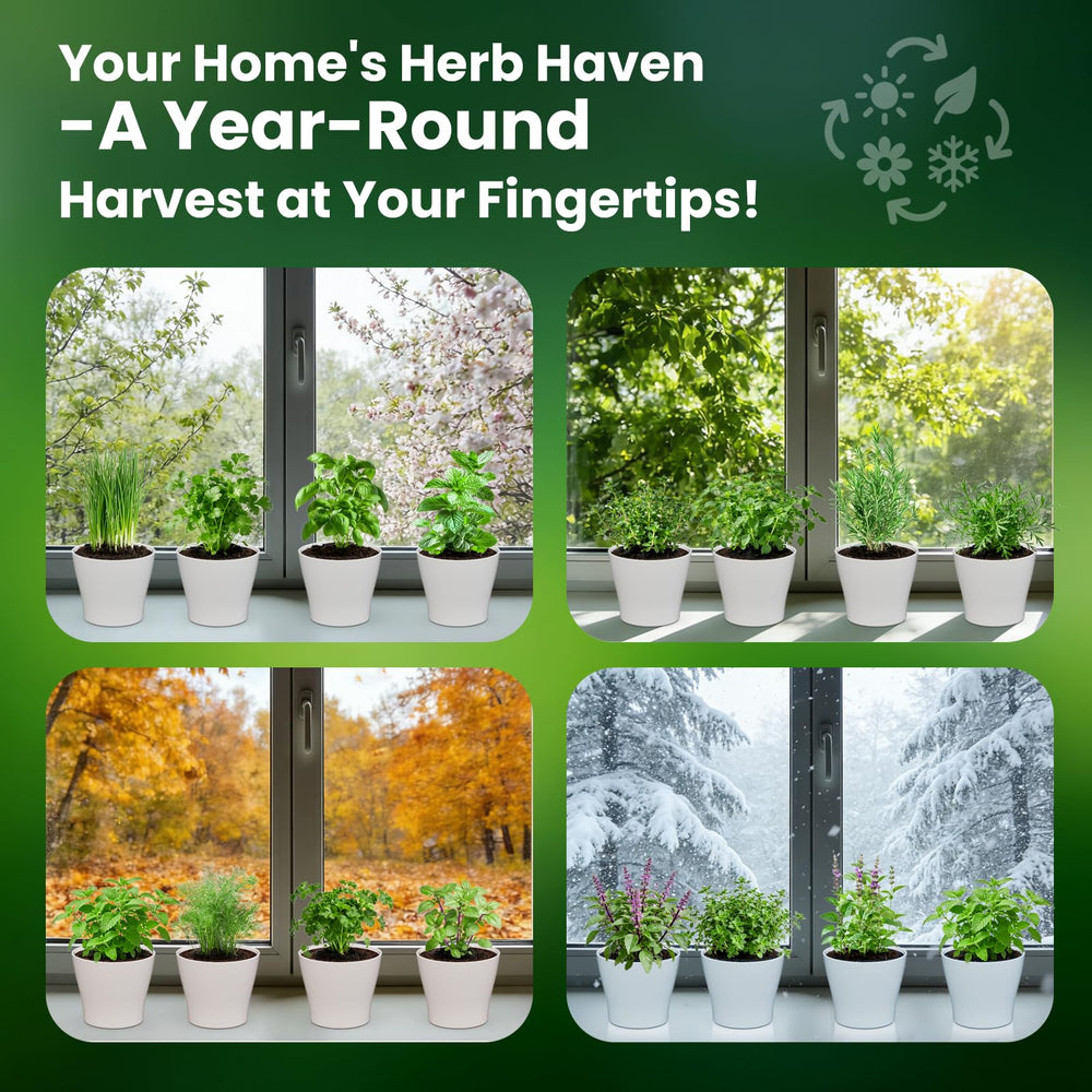 Detailed guide for growing herbs in the Fruivity kit