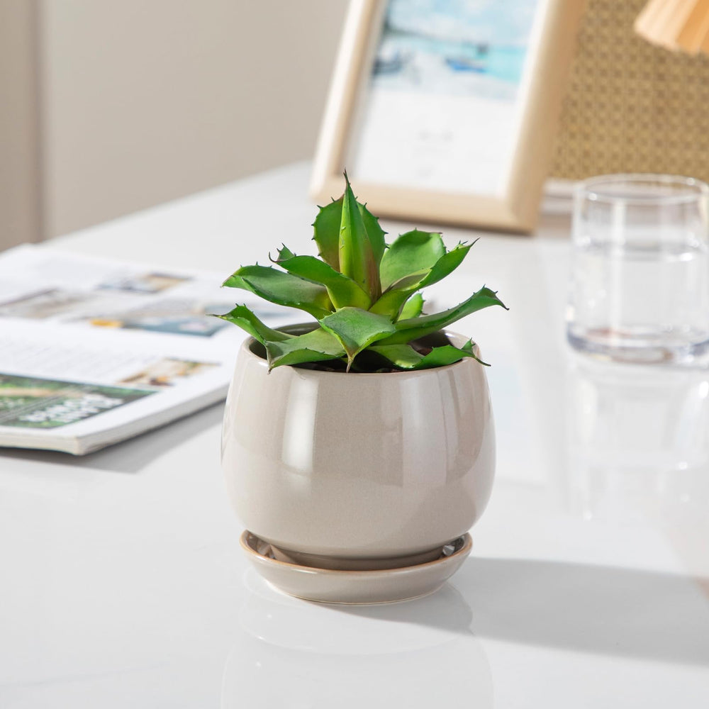 Detailed look at the high-gloss finish of vancasso ceramic pot