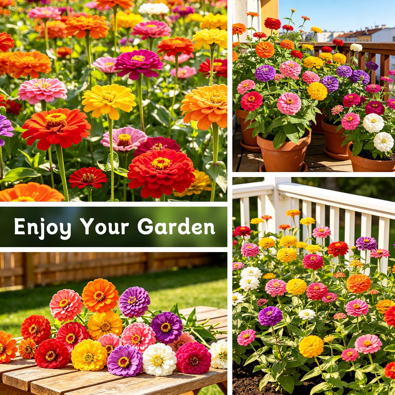 Detailed planting instructions on LUOJIBIE seed package