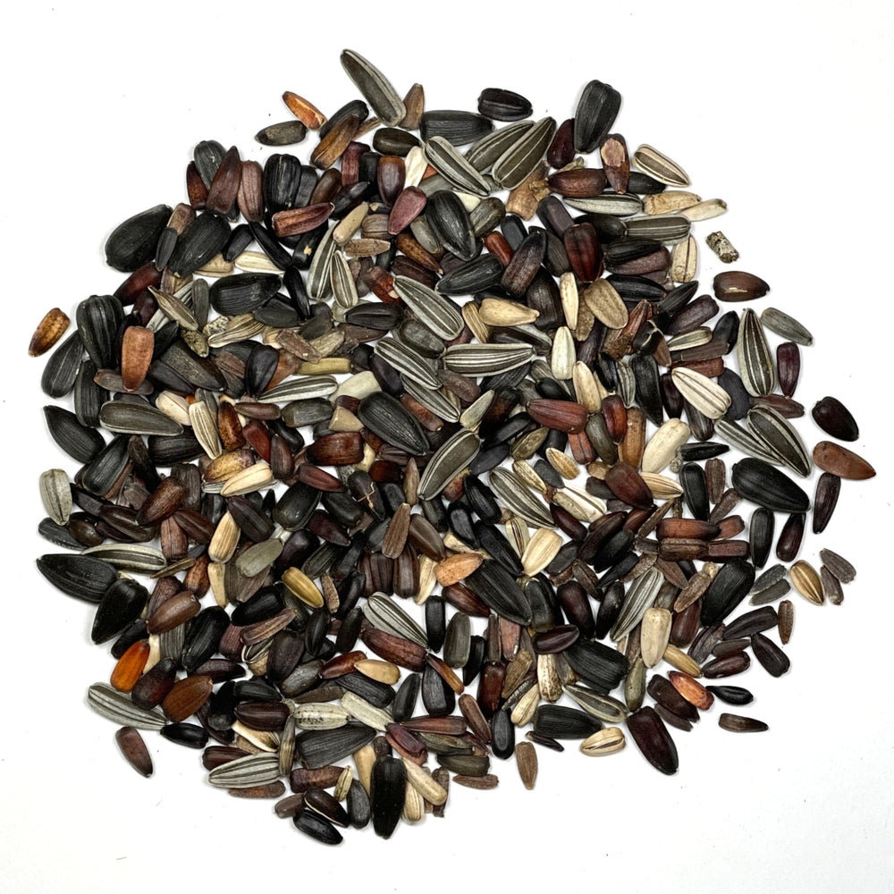 Detailed sowing information on the seed packet