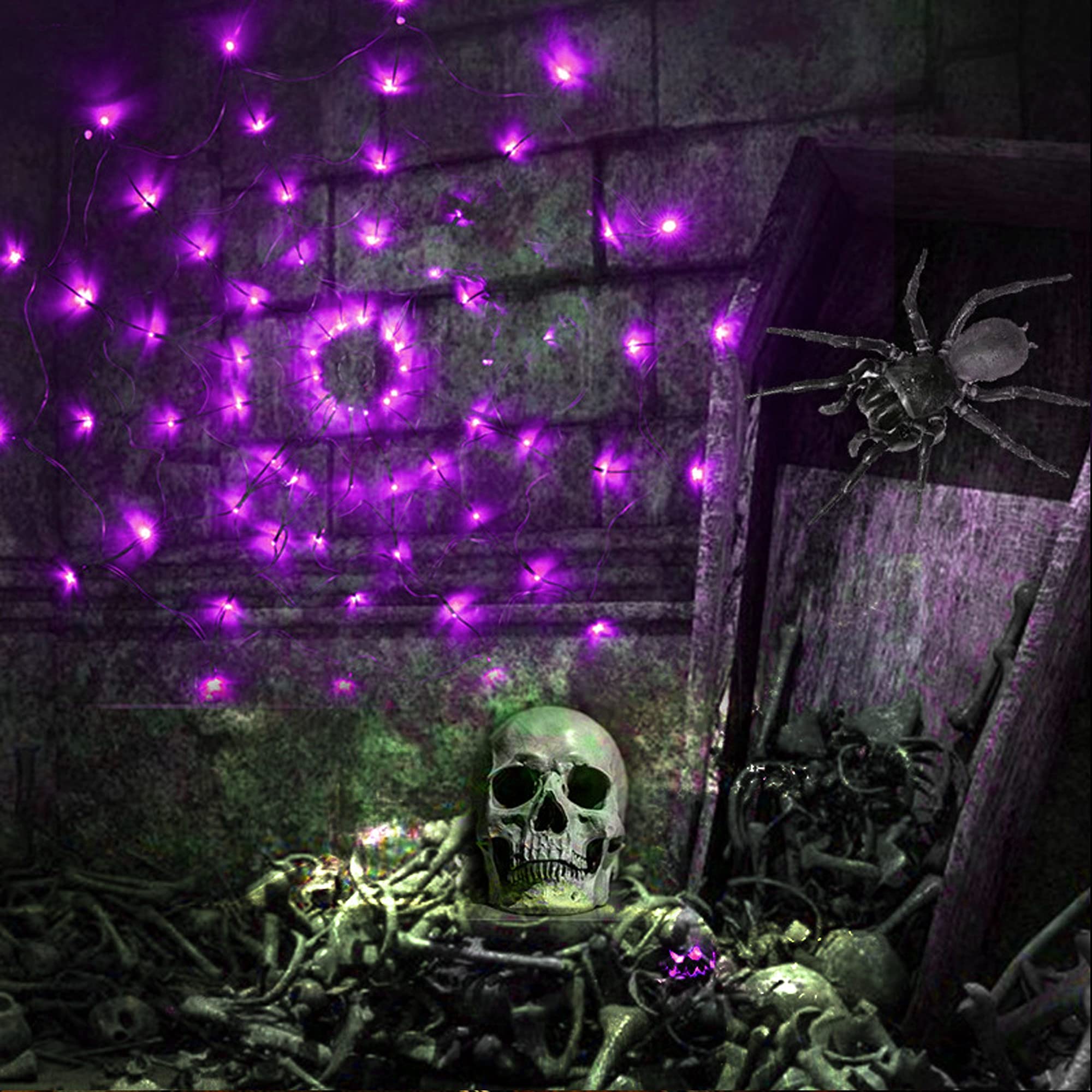 Detailed view of 80 LED lights on the spider web