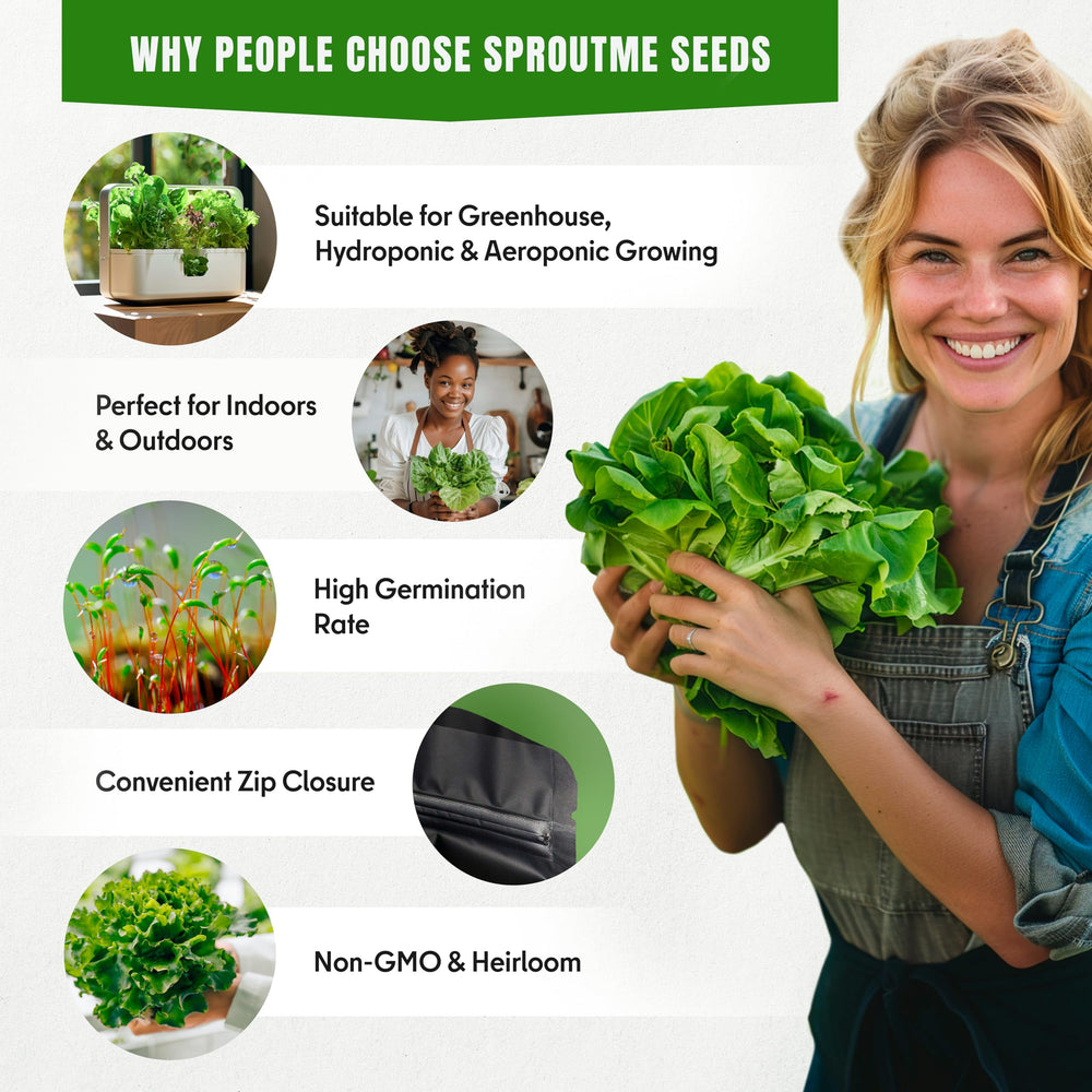 Detailed view of arugula seeds from SPROUTME SEEDS