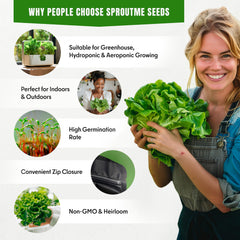 Detailed view of arugula seeds from SPROUTME SEEDS